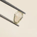 1.16 Carat Antique Calf's Head Portrait Cut Loose Diamond Loose