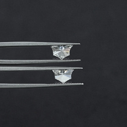 Bat Lab Grown Diamond Matching Pair Loose