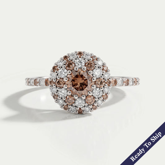 Fancy Round Brown Diamond Double Halo Accent Set Ring Ring