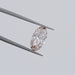 Light Champagne Old Mine Moval Cut Loose Diamond Loose