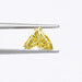 1.55 Carat Yellow Horse Cut Lab Grown Diamond