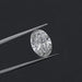 8X Lab Grown Diamond - Oval Shape Loose