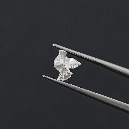 Pigeon Cut Lab Grown Diamond Matching Pair Loose