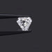 0.55 Carat Calf's Head Lab-Grown Diamond Loose