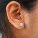 Round Cut Stylish Halo Stud Earrings Earring